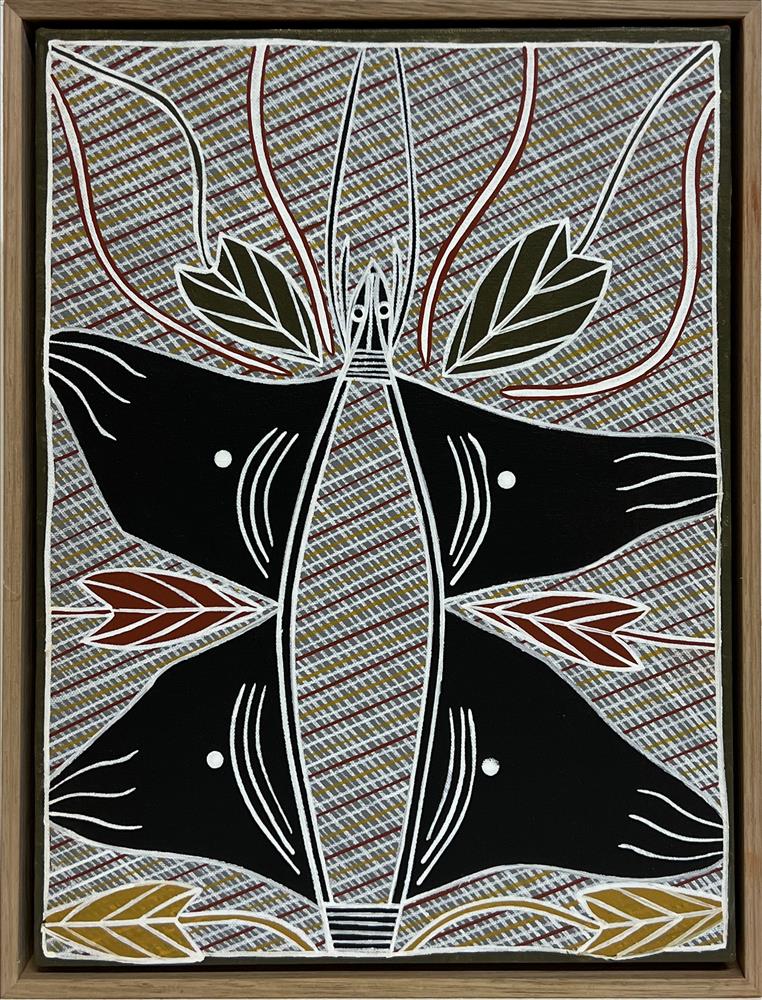 Daniel's Bonba Dhawu (butterfly story)