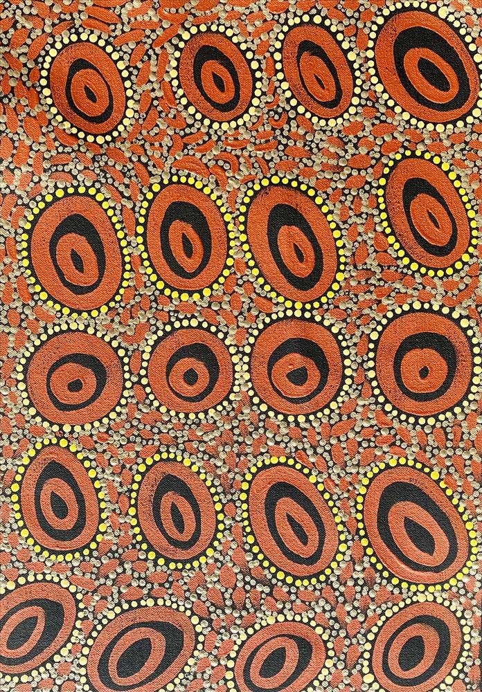 Kapi (Waterhole Story)