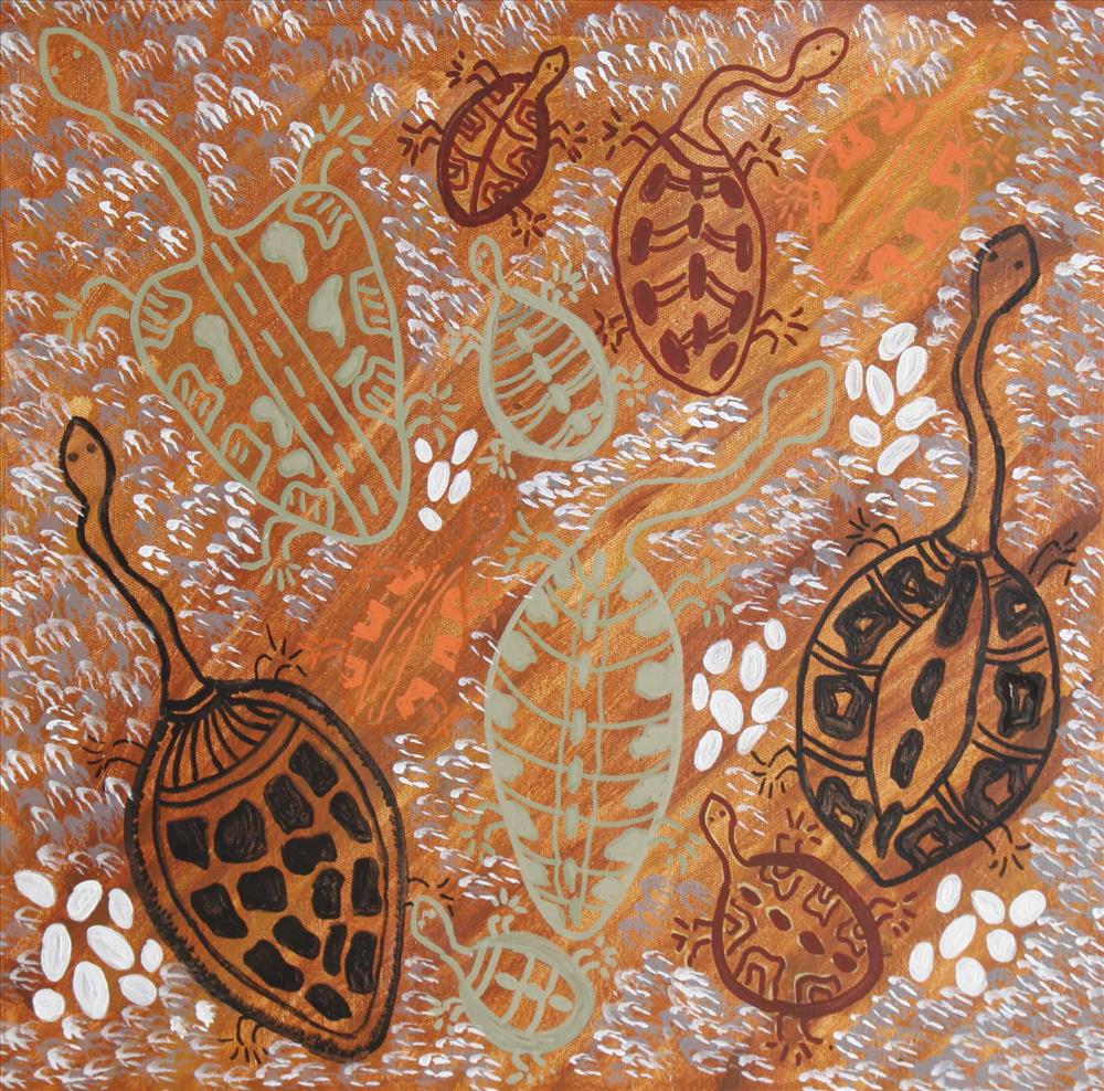 Woolamarra (long neck turtles)